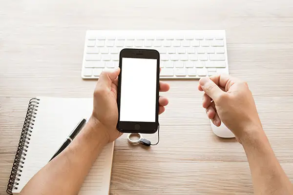 东楮岛美食哪里能吃